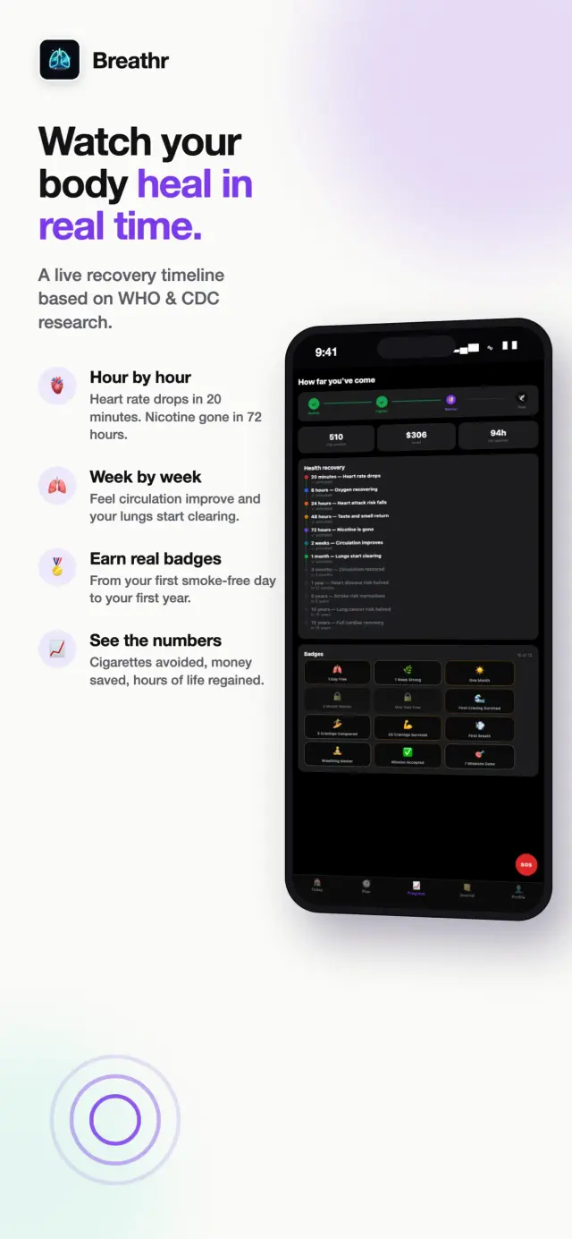 Breathr recovery timeline — hour-by-hour and week-by-week milestones showing how the body heals after quitting